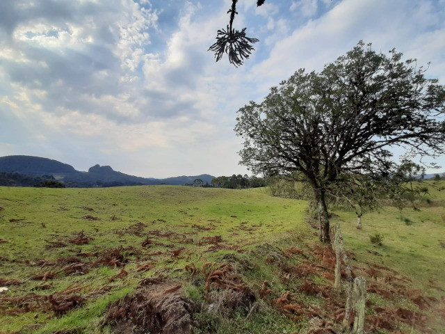 Sítio com Linda Vista em Rio Rufino - Foto 5