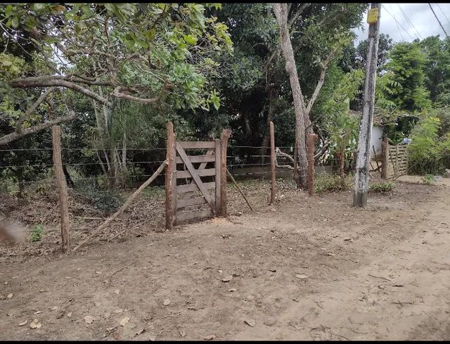 Foto - Camaragibe - Aldeia dos Camarás