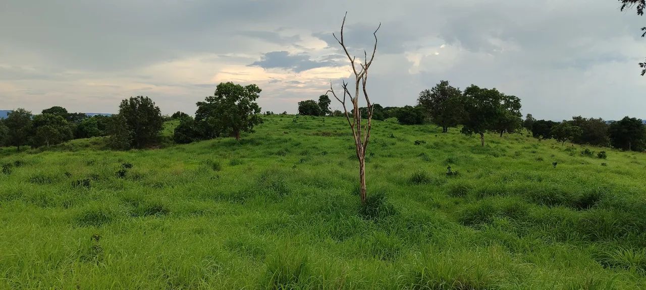 Chácara em buriti de Goiás  - Foto 5