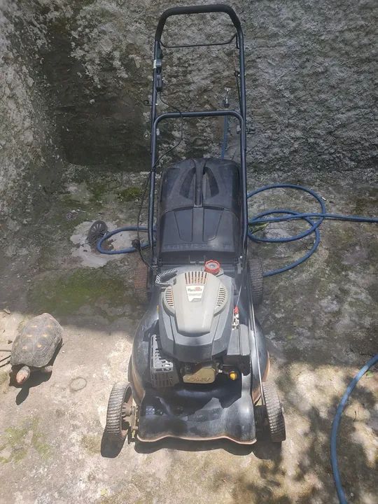 Kit de ferramentas para jardim - Roçadeiras, Soprador e Tesoura de poda - Foto 3