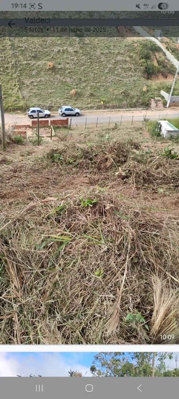 Foto - Juiz de Fora - Borboleta