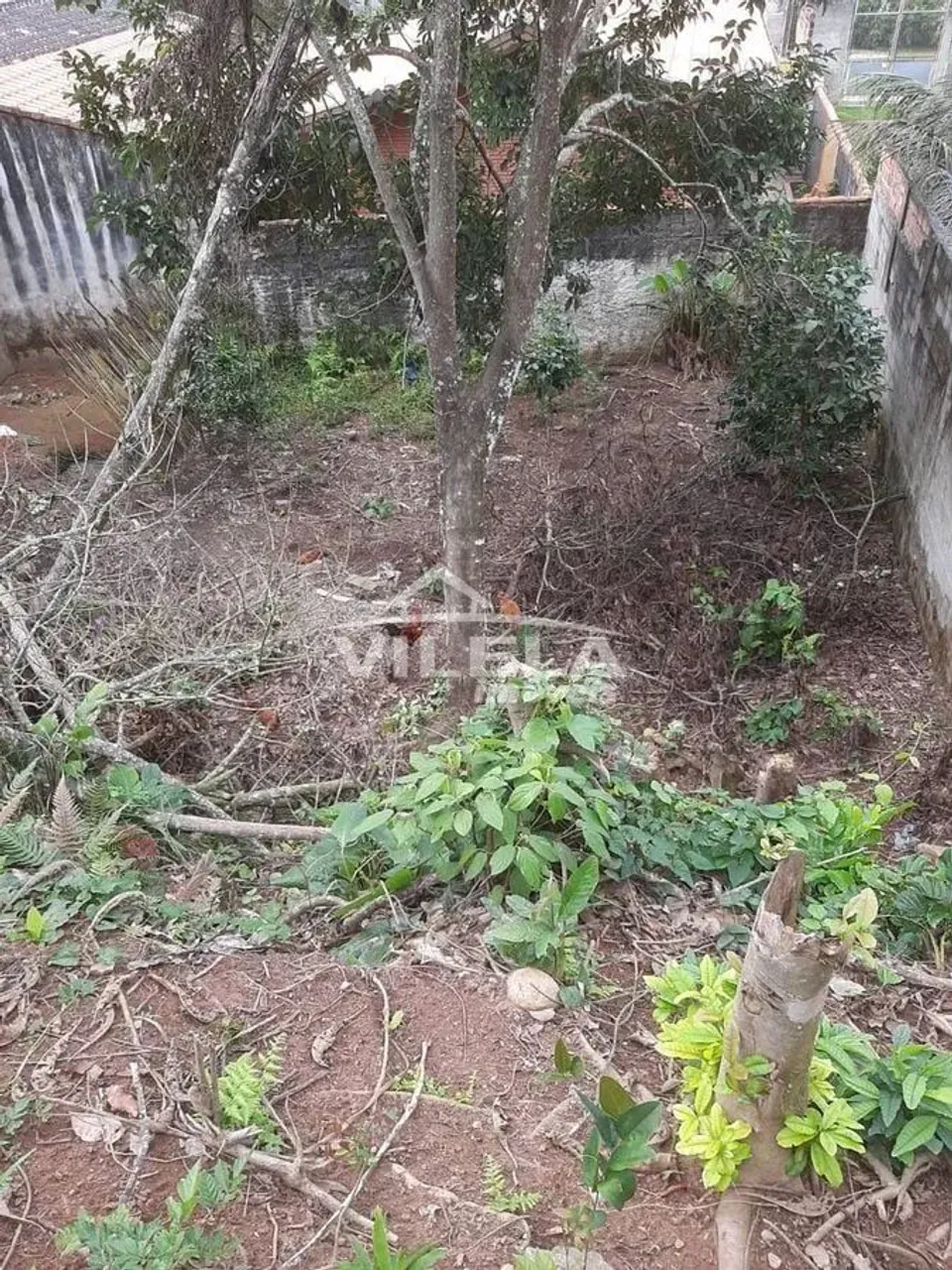 Terreno-Massaguaçu