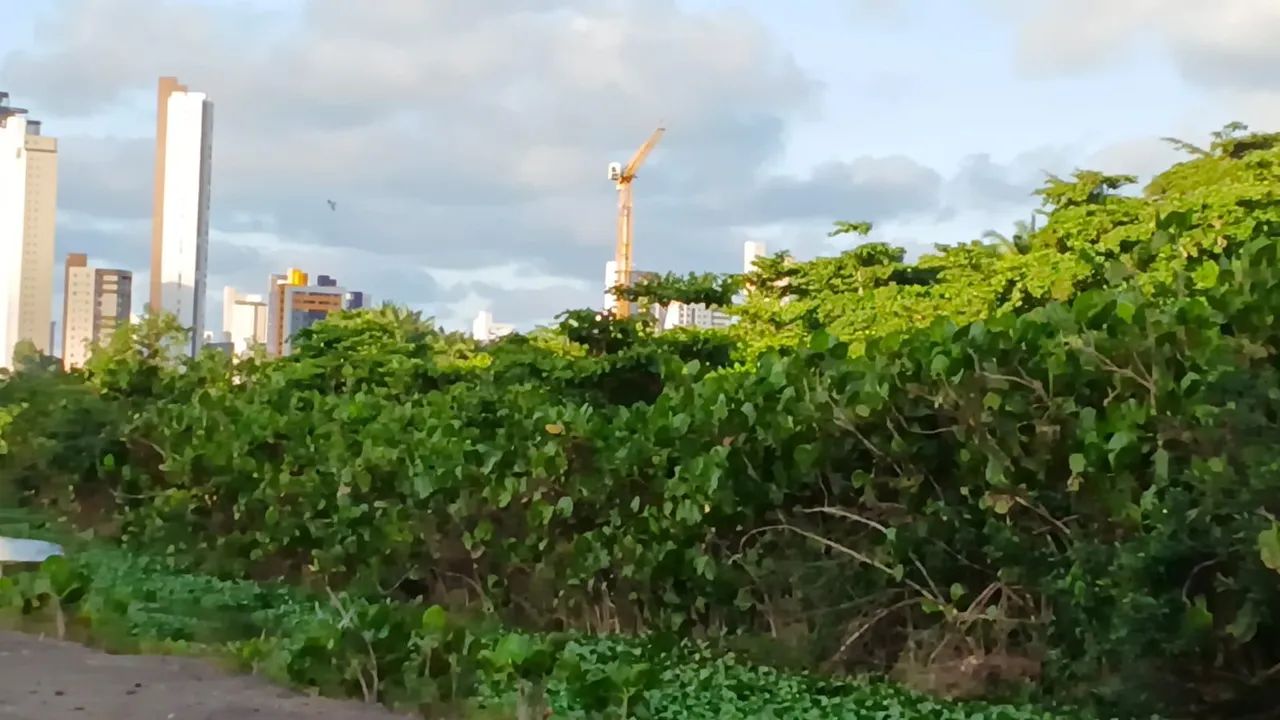 Vendo Granja Dentro de João Pessoa  - Foto 5