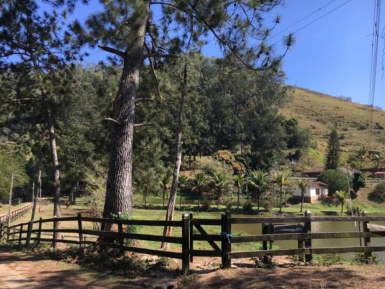 Fazenda para gado de corte no fundo do Vale Histórico