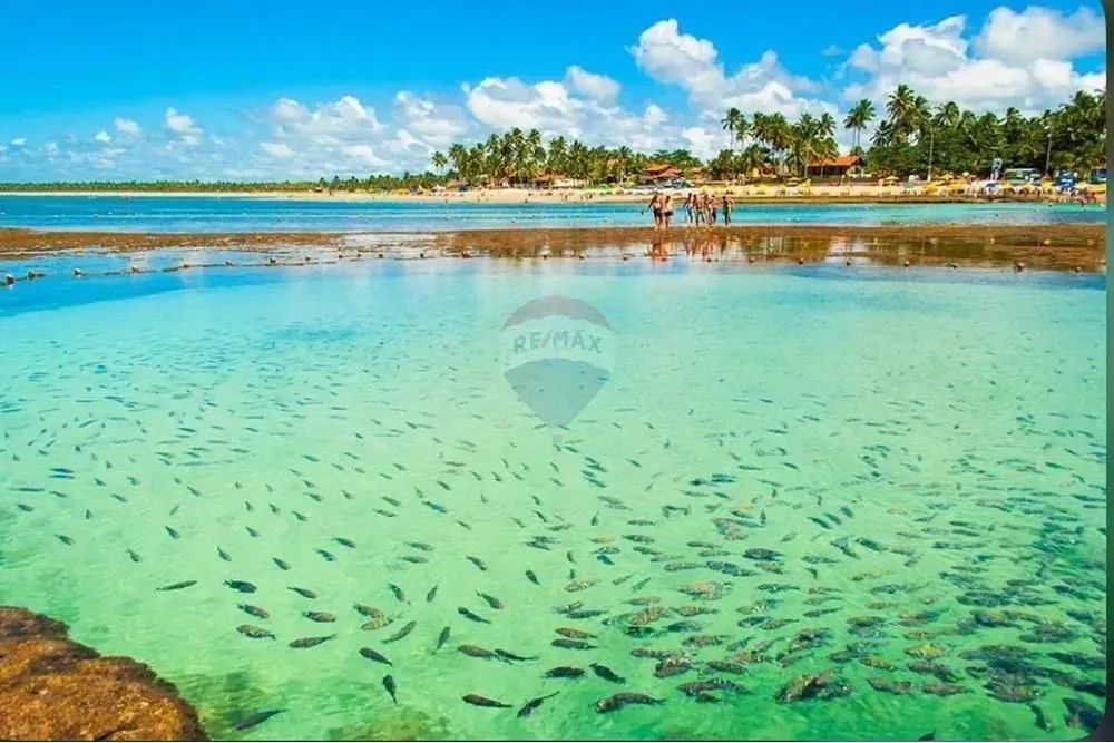 Terreno a venda - Foto 12