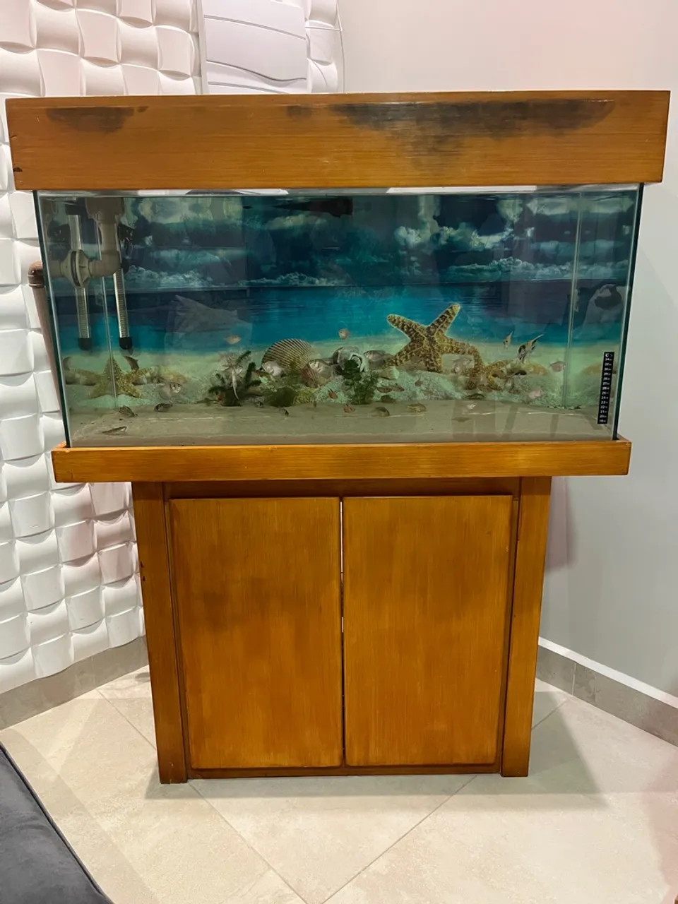 Aquário 200 Litros Completo com Sump