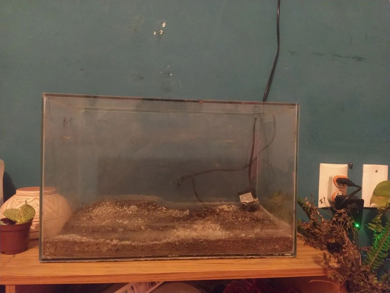 Aquario 18 litros com bomba