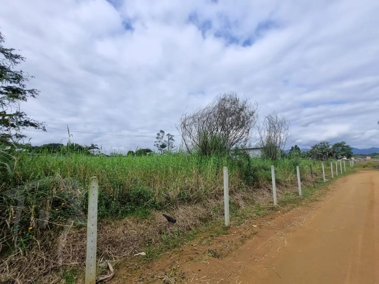 Terreno grande aberto a propostas - Foto 4