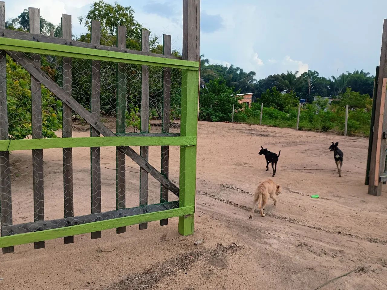 Terreno med. 12x50 na Morada do Sol , km 26 próximo ao 3 irmãos  - Foto 9