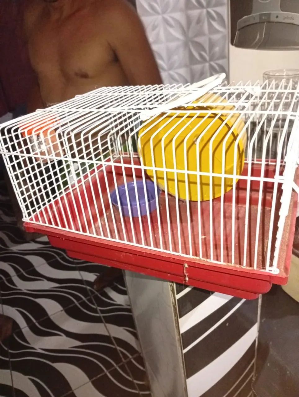 Gaiola ramister  - Foto 2