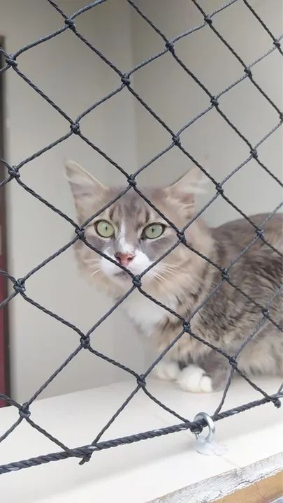 Redes de proteção - promoção - Foto 2