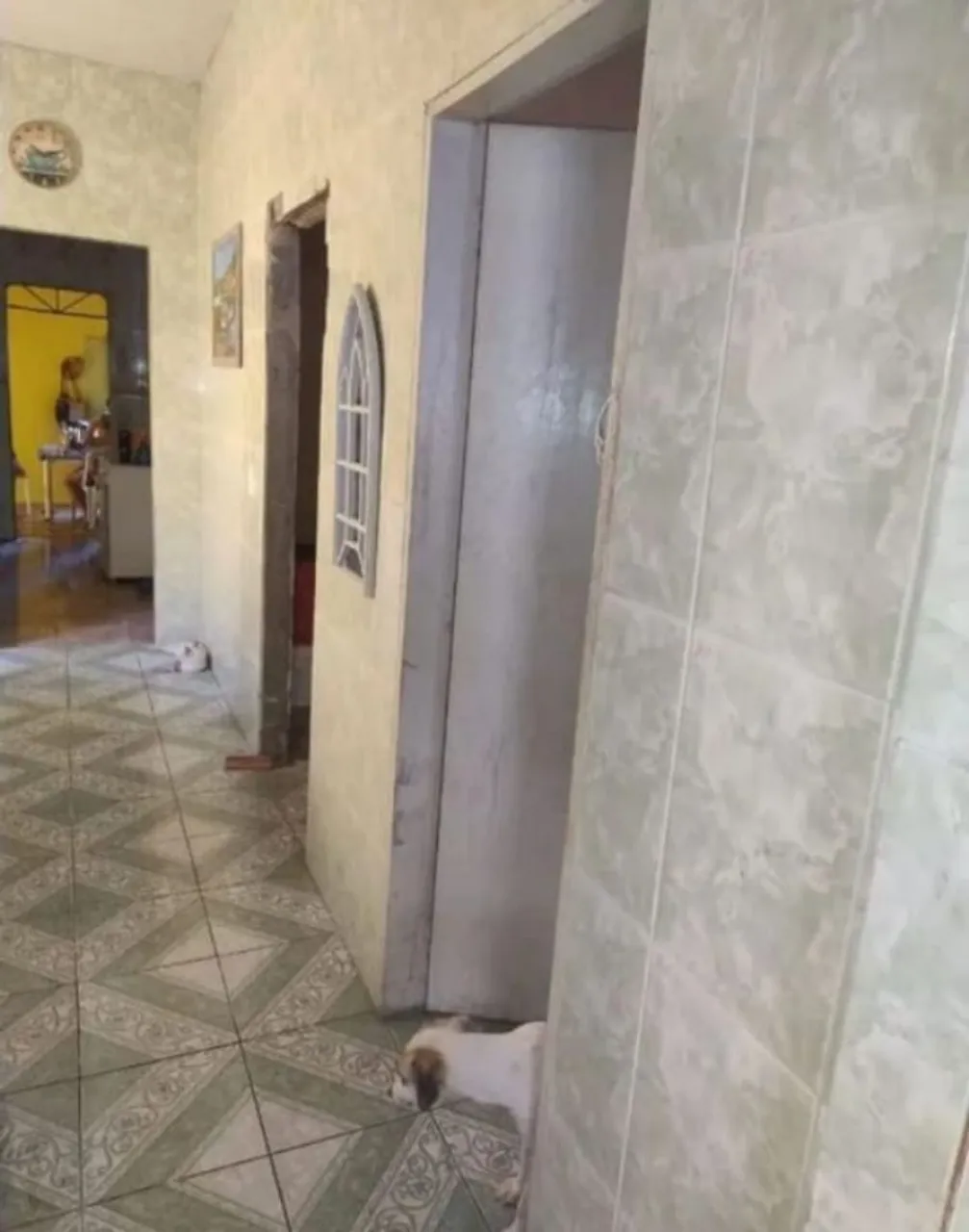 Vendo essa Casa.