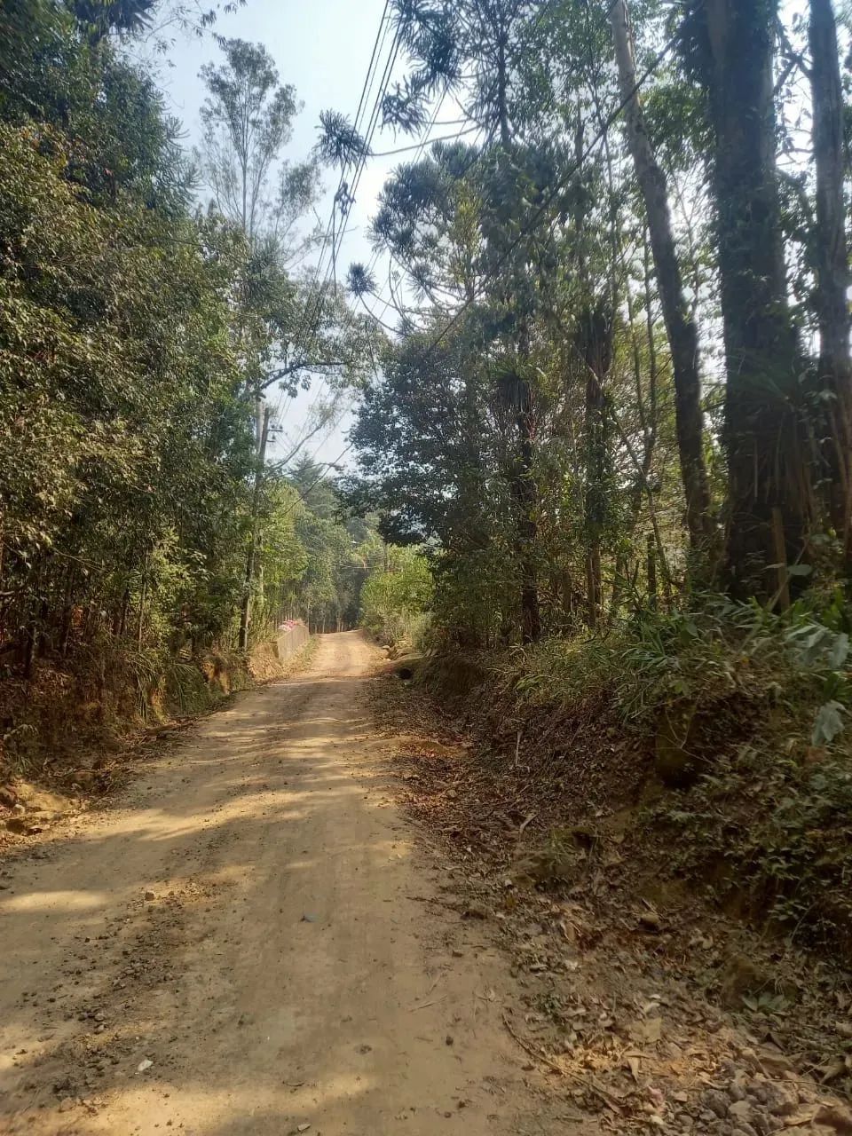 Belíssimo terreno com grande parte plana no Vale do Pavão, com córrego ao fundo, em meio à - Foto 3