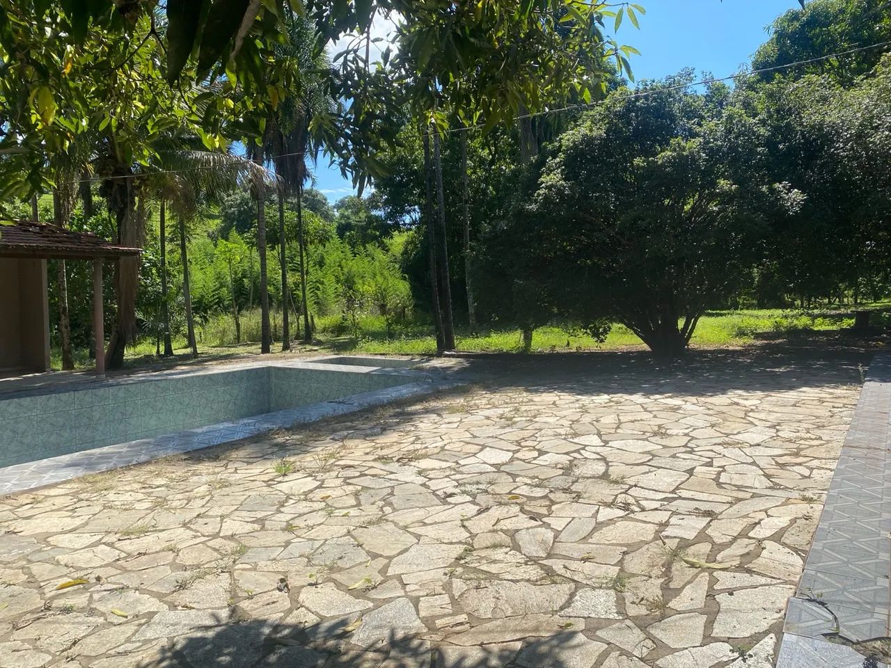 chacara de 8 alqueires em bela vista go  - Foto 4