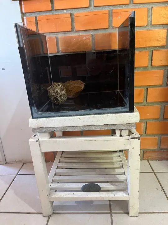 Vendo Aquaterrario Completo 