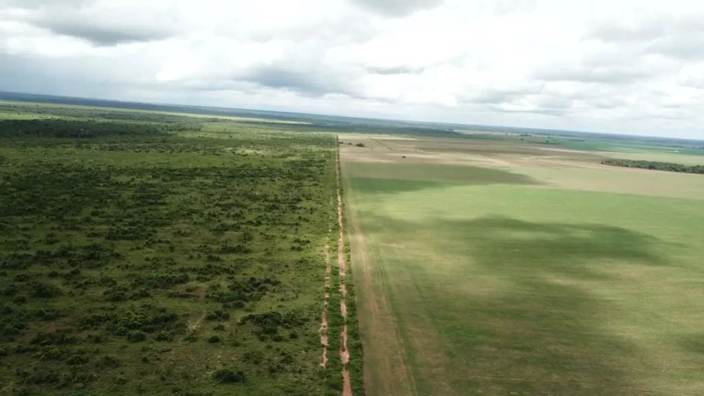 Fazenda a Venda Município Santa Terezinha Mato Grosso. - Foto 2
