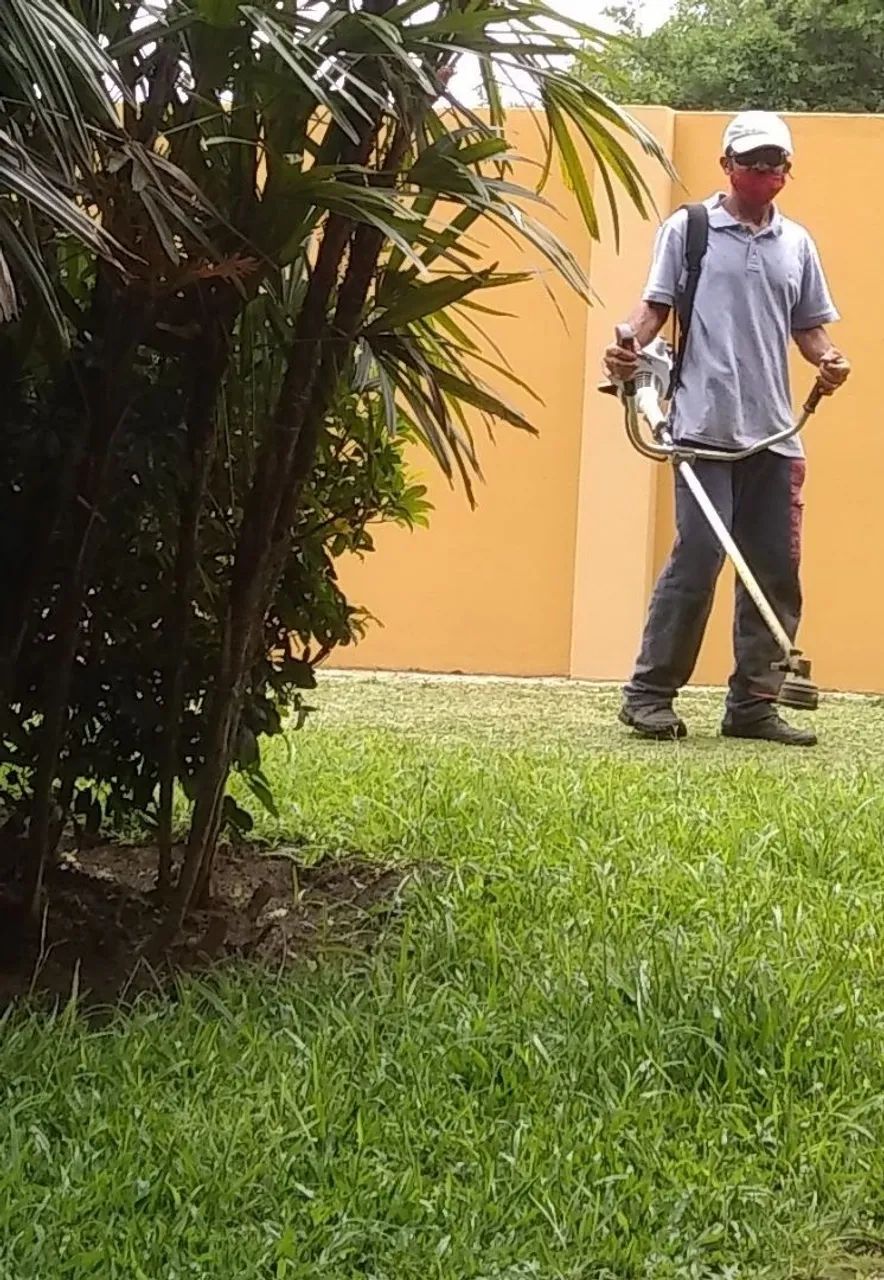 Jardinagem  - Foto 2