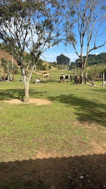 Sítio com vista espetacular para as montanhas - Foto 2