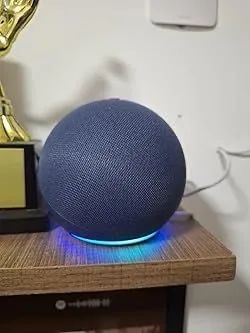 Selling my original Alexa, working perfectly!