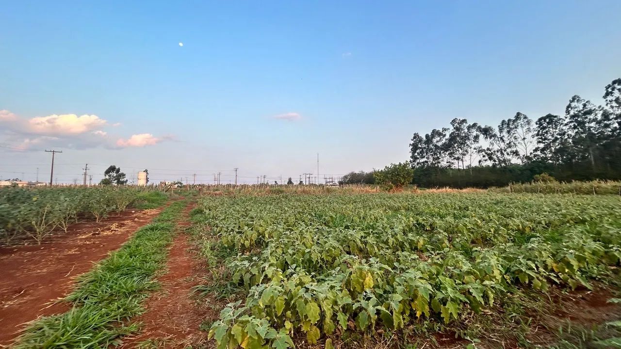 Instale sua usina solar ou indústria - Foto 2