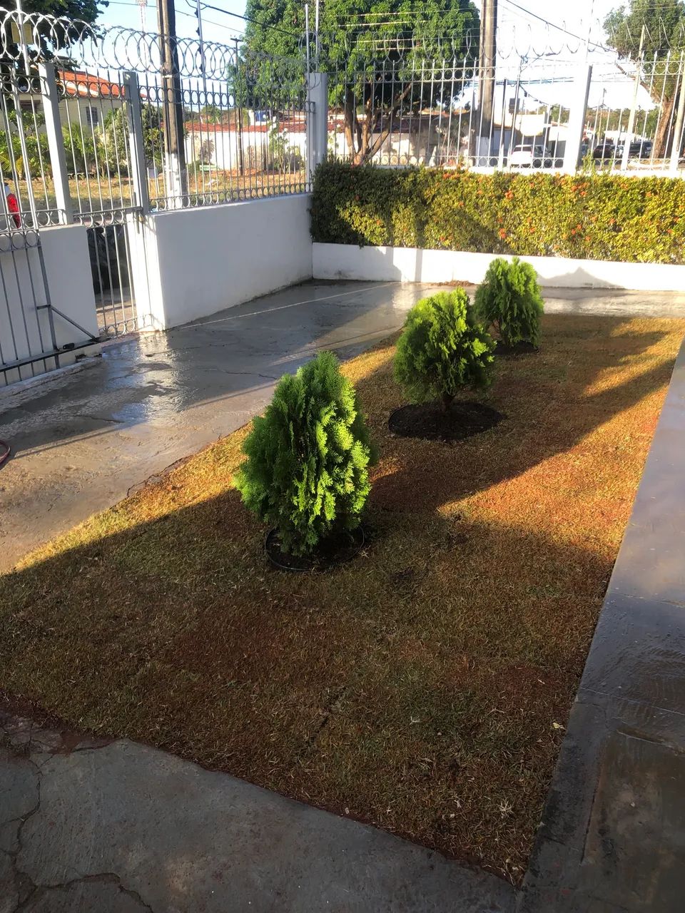 JARDINEIRO - Foto 3