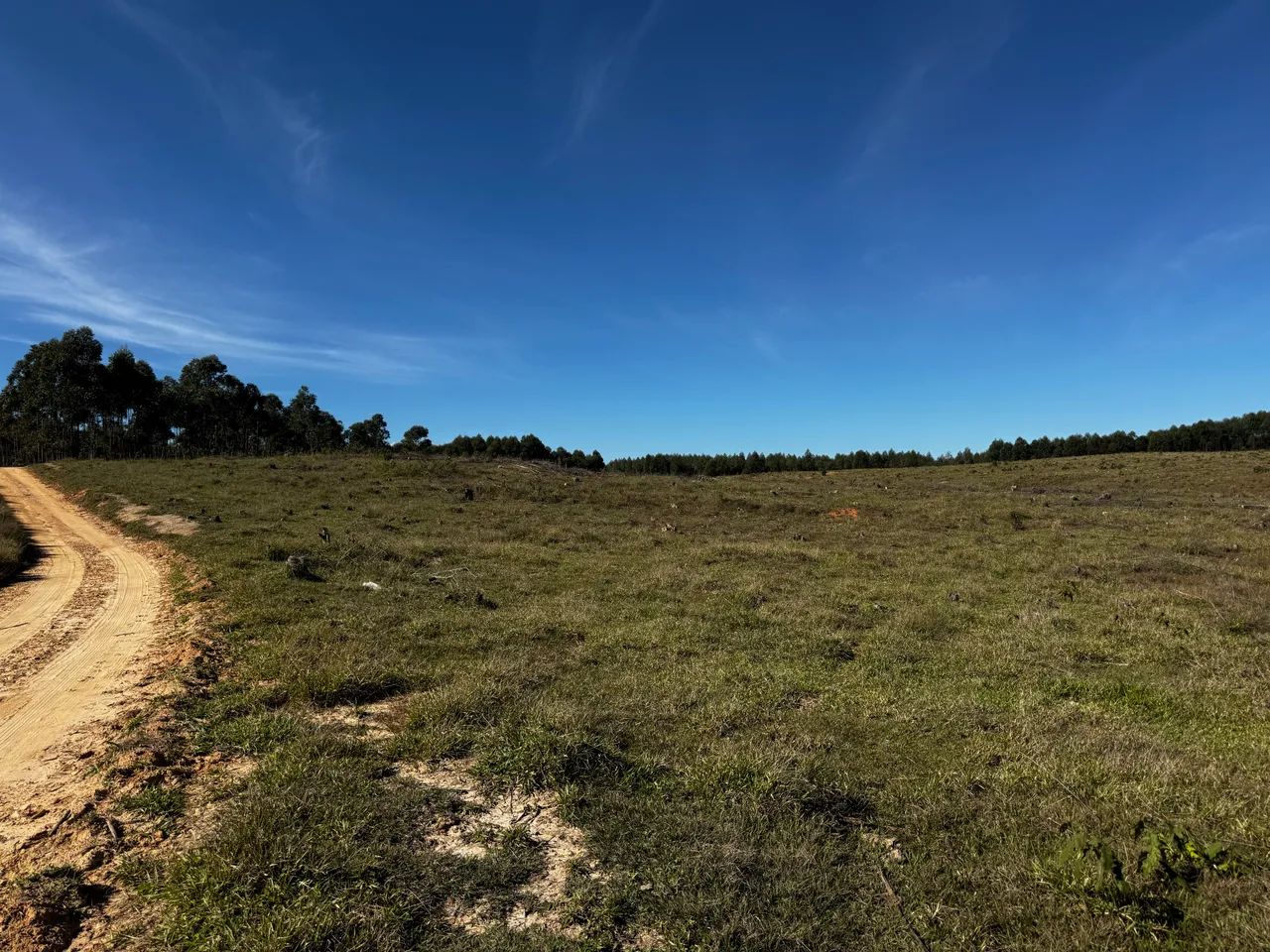 Área Campos Eliseos  - Foto 2