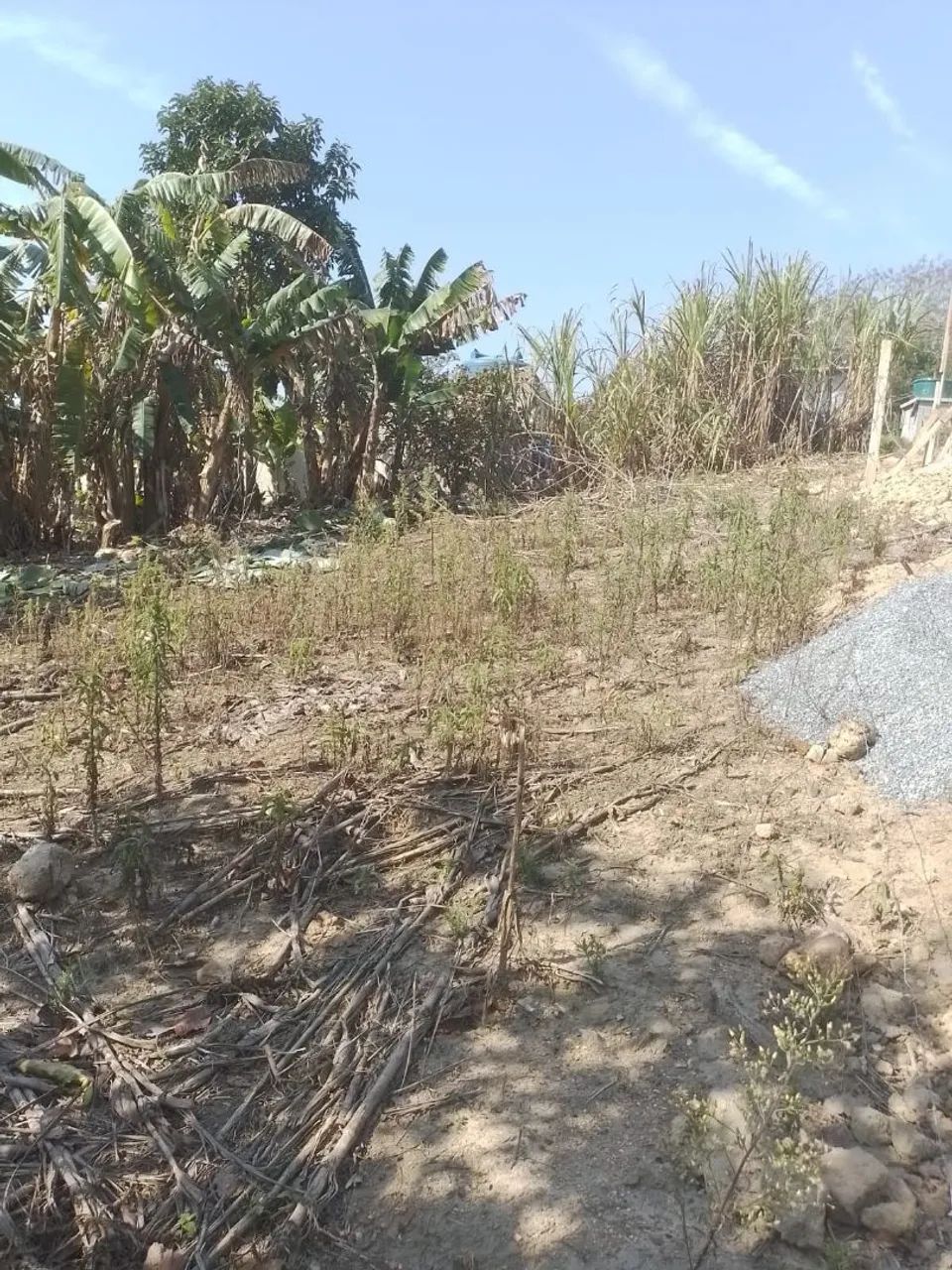 Chácara  - Foto 4