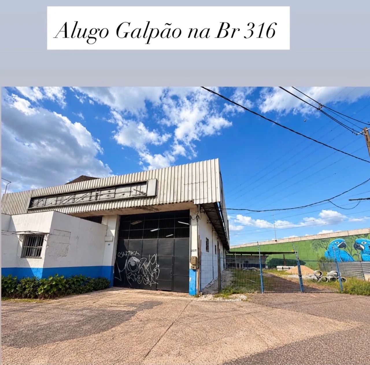 Galpão na Br 316 Ananindeua