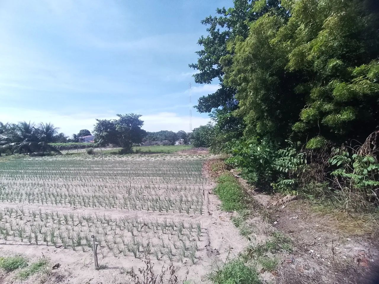 Terreno à venda proximo a CE-010, Encantada, Eusébio - Foto 5