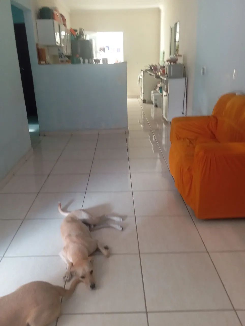 Vendo casa com ponto comercial e um terreno  - Foto 4