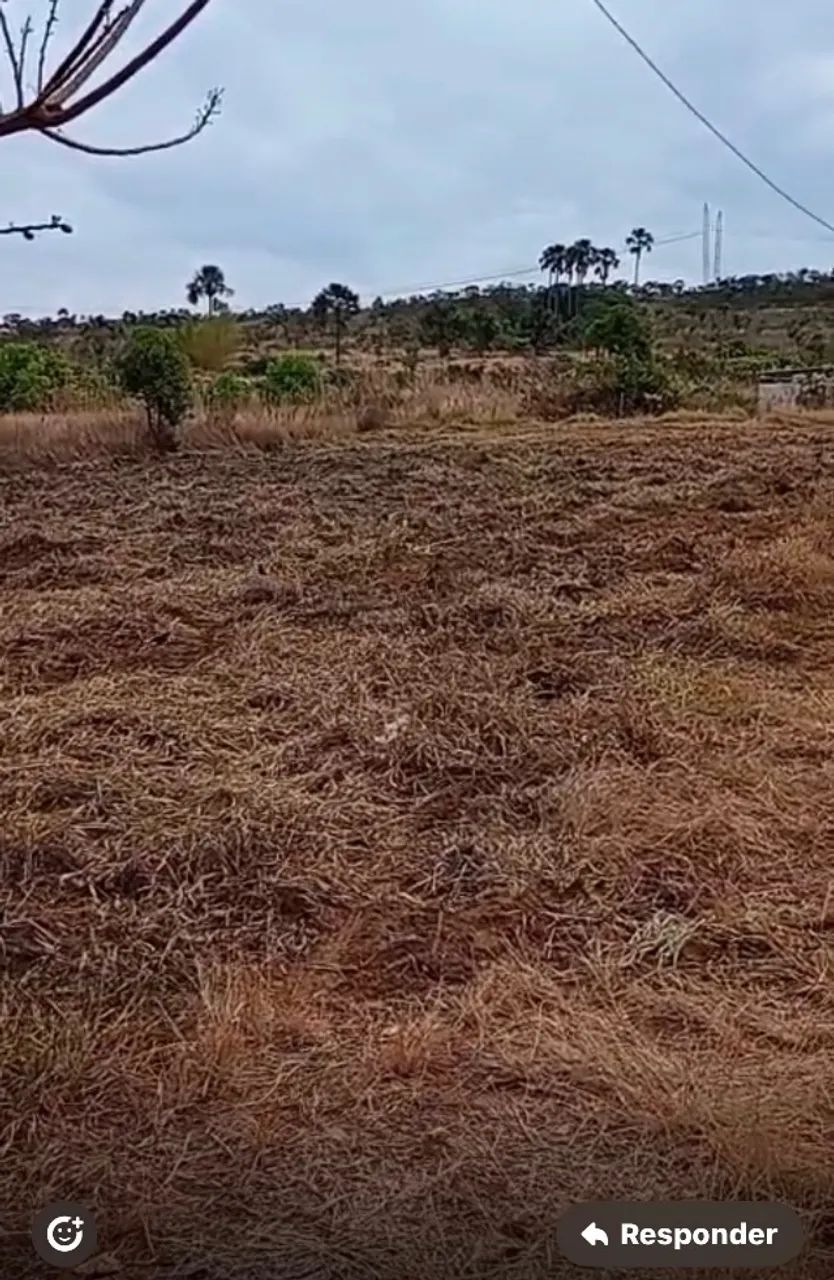 Foto - Planaltina - São Gabriel de Goiás