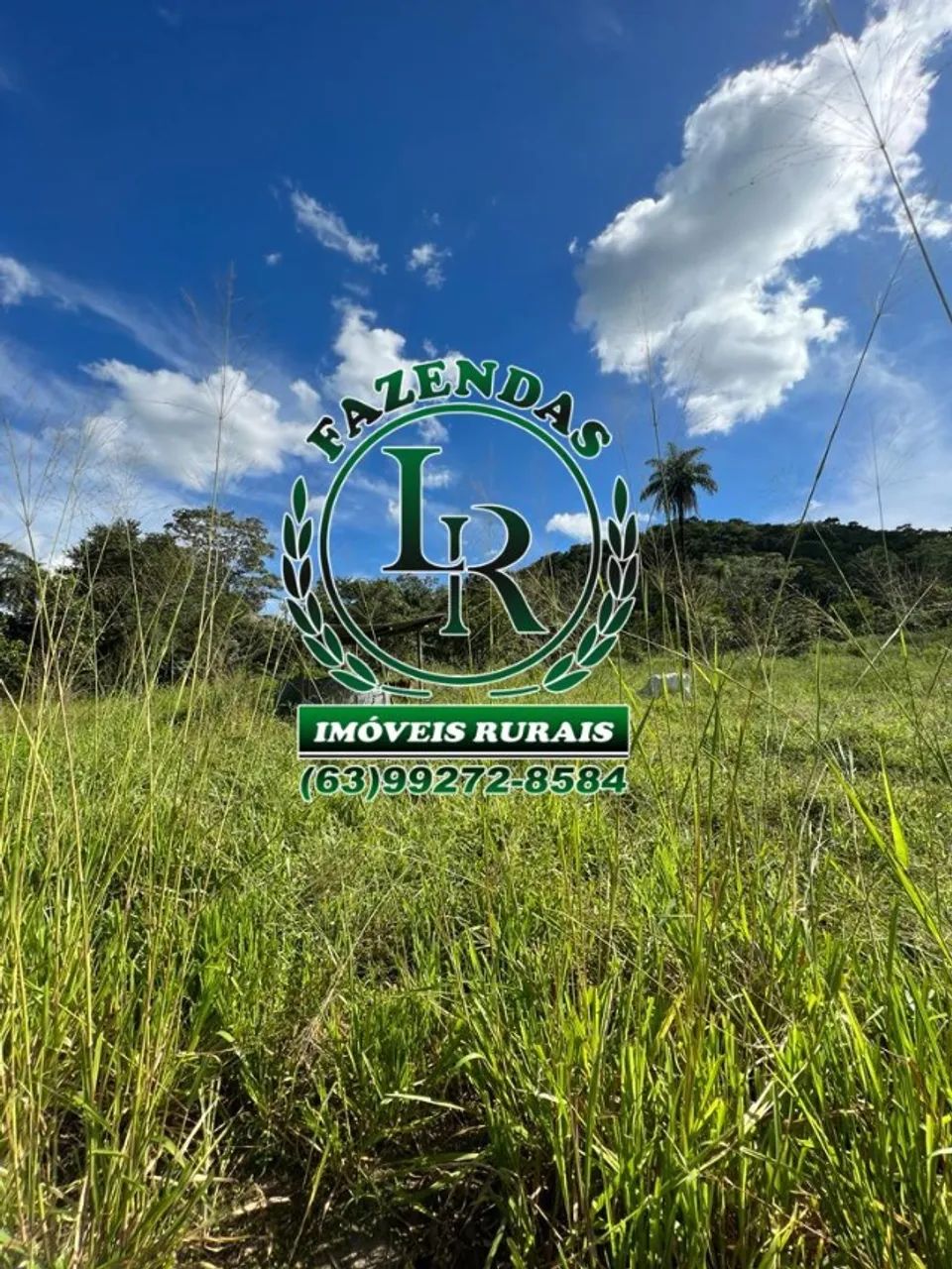 Fazenda  Dupla Aptidão 348 Hectares Região Almas - Foto 3