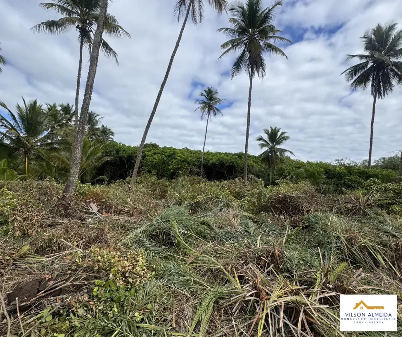 Lote à venda no MAR E SOL, SÃO DOMINGOS, Ilhéus, BA - Foto 5
