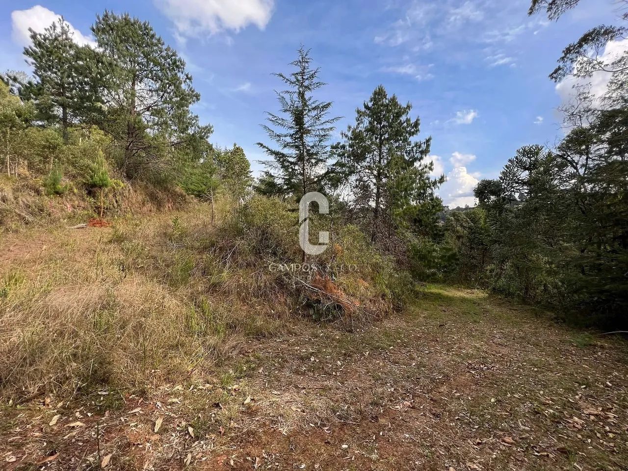 Área para incorporação à venda, 16.805 m², R$ 8.000.000,00, ao lado do Cantrinho do Capiva - Foto 10