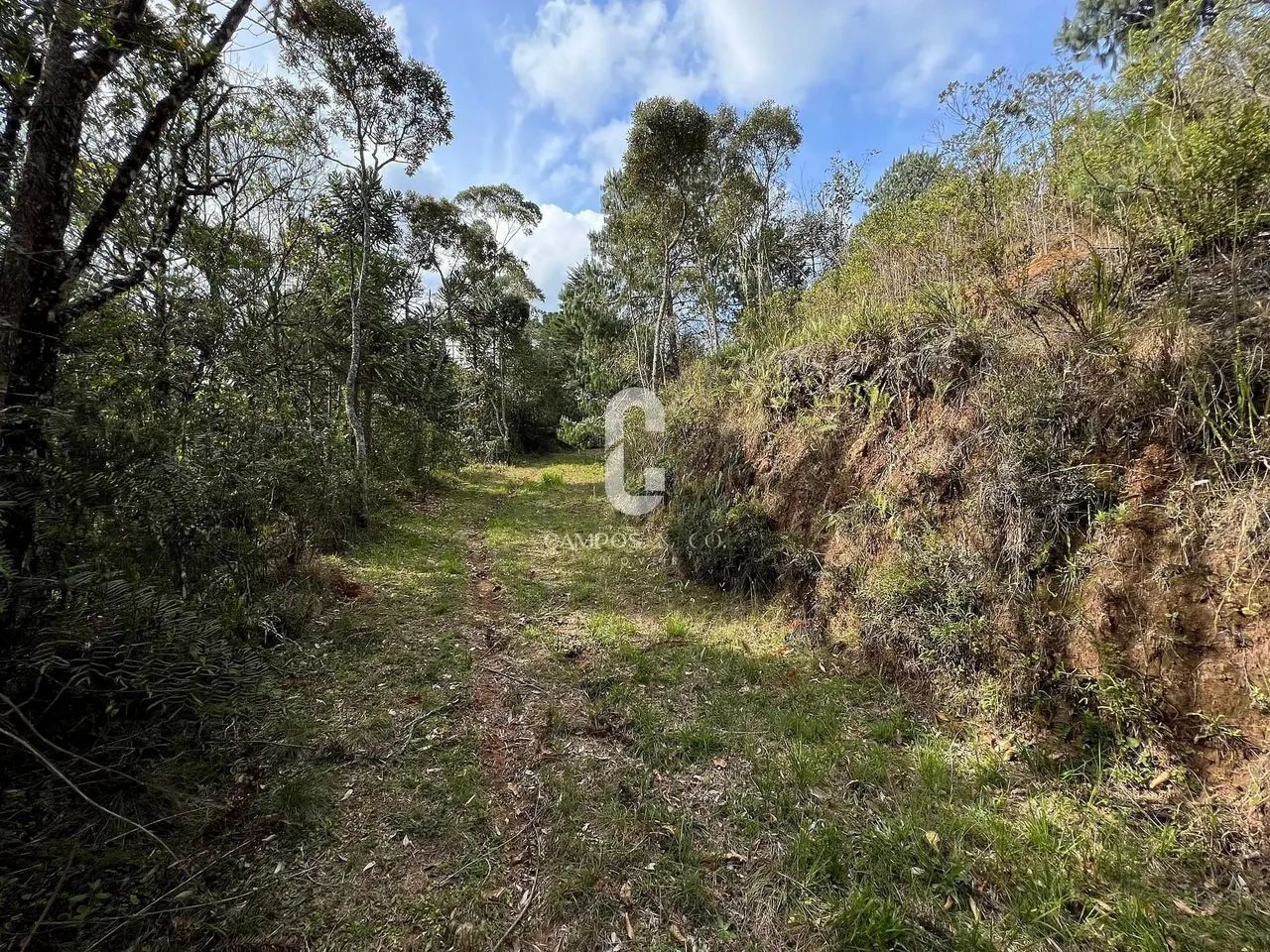 Área para incorporação à venda, 16.805 m², R$ 8.000.000,00, ao lado do Cantrinho do Capiva - Foto 9