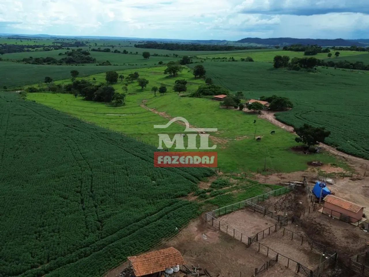 Fazenda 50 alqueires (242 hectares) Pontalina - Go - Terrenos, sítios e ...