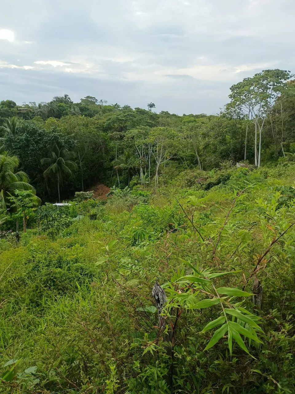 Vende se terreno (lote) de 17,00m x 92,00m - Foto 5