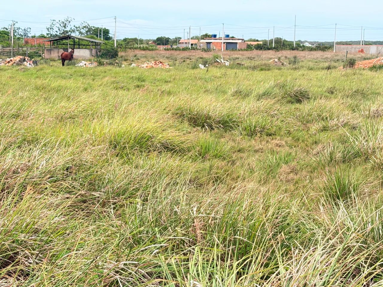 Terreno de 506 m 3 km da Ponta do Pai Vitória Armação dos Búzios - Foto 6