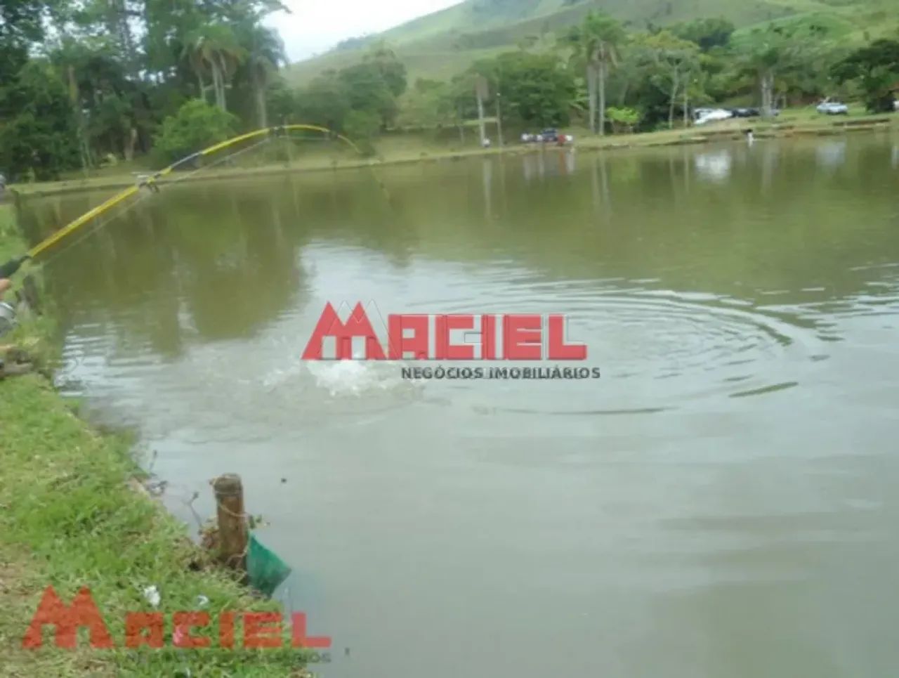 Comercial Prédio em Brasopolis - Foto 2