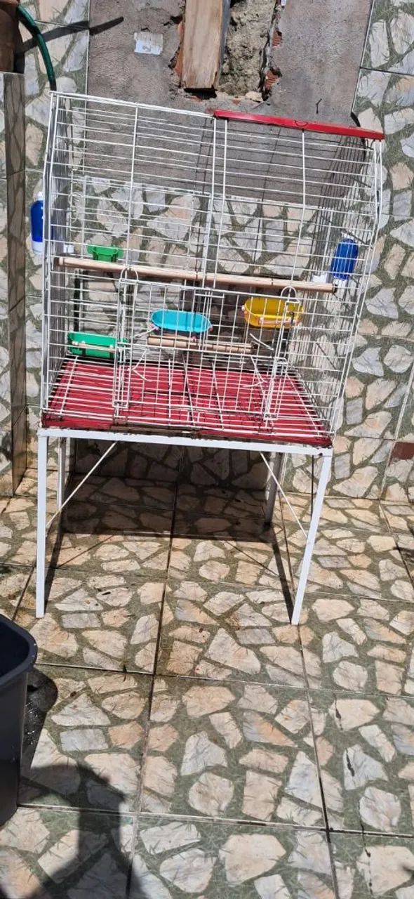 Gaiola grande em ótimo estado  - Foto 3