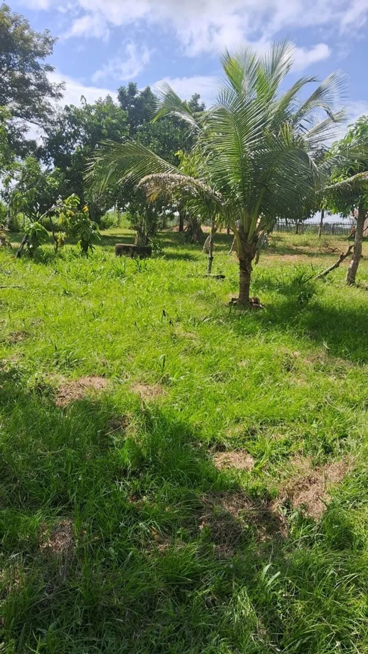 Chácara no Bujari  - Foto 3