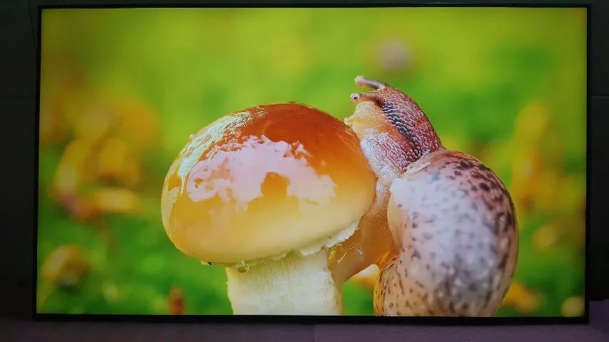 Vendo TV TV 4K SAMSUNG 50 POLEGADAS ESTADO DE ZERO
