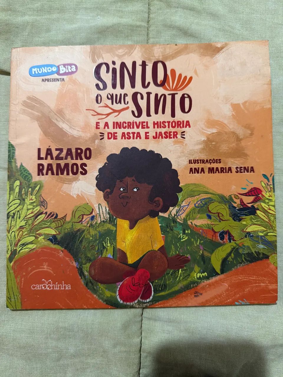 Livro Sinto o que sinto 