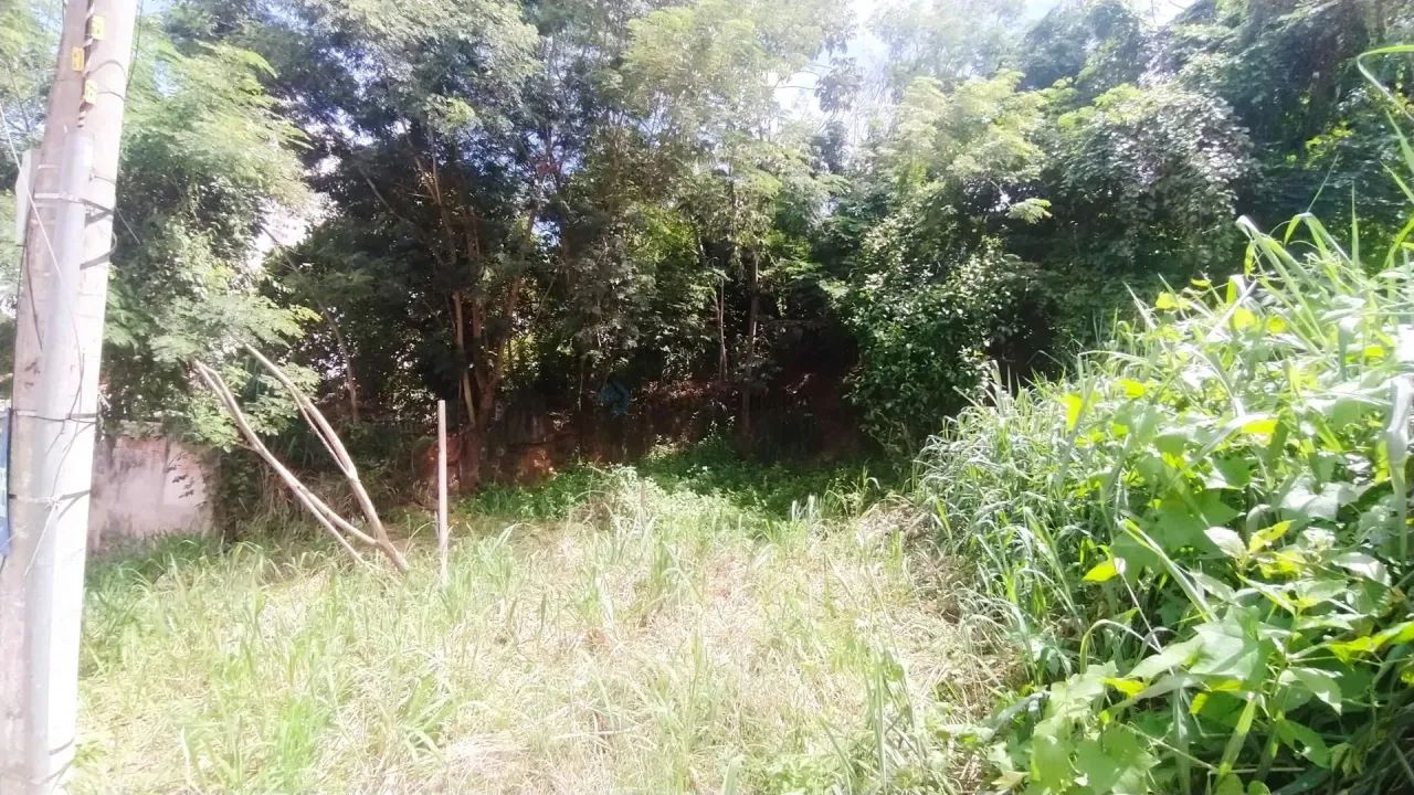 Terreno Bem Localizado no Bairro Quilombo - Foto 3