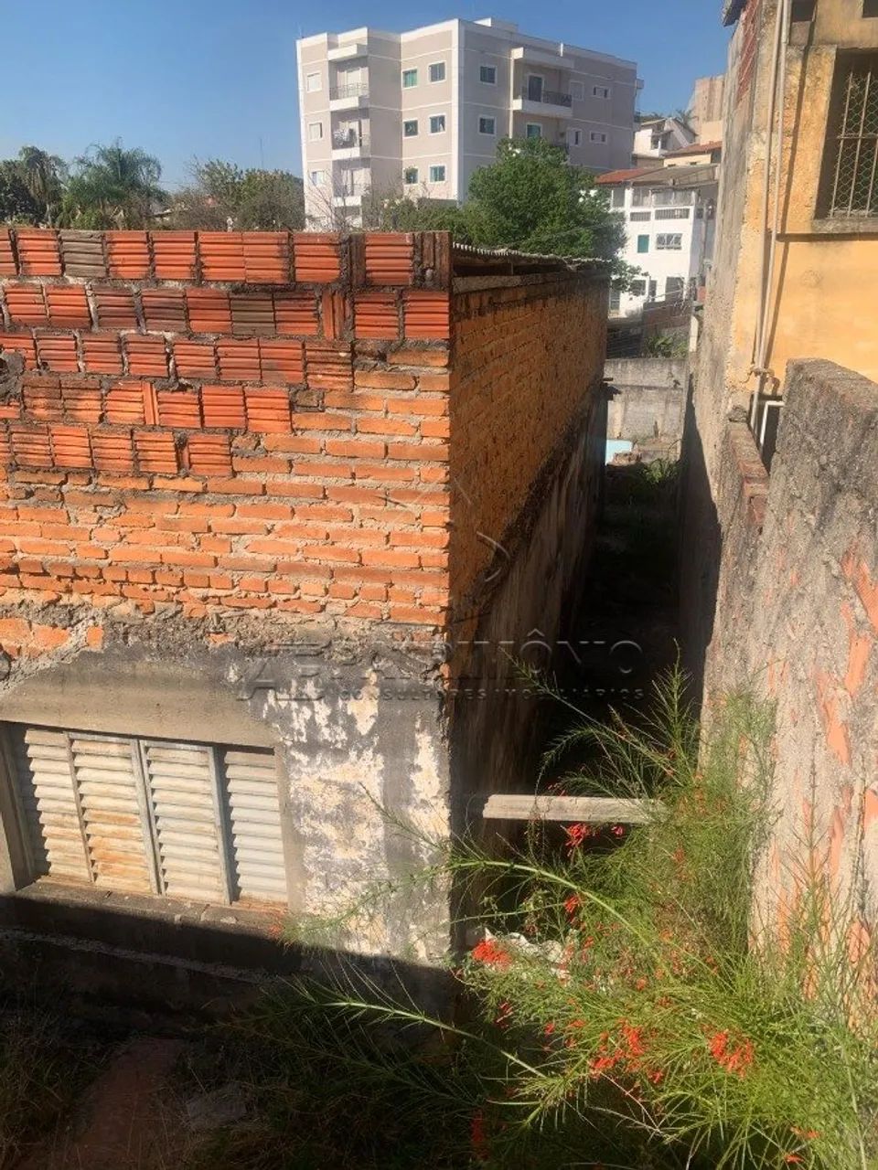 TERRENO VILA ADÉLIA - Foto 3