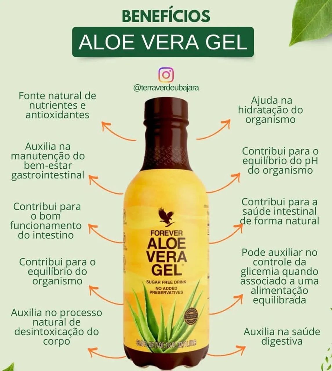 Suco Forever Babosa