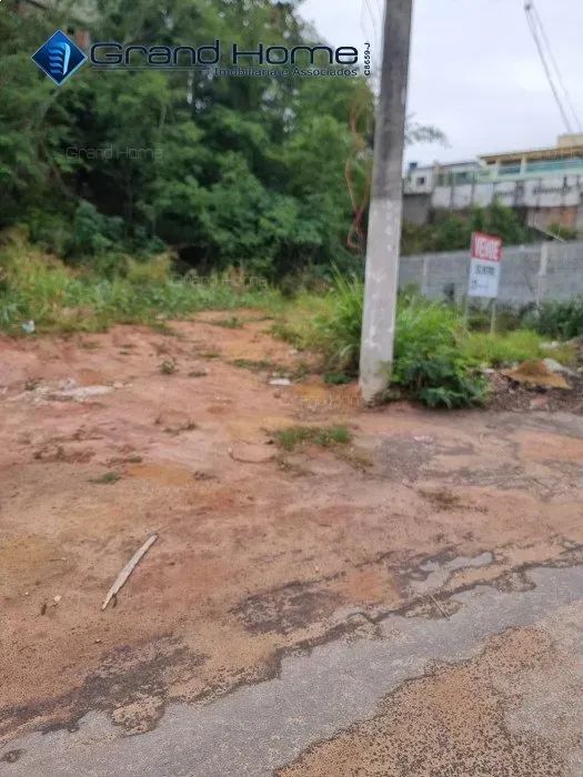 Terreno em Ponta da Fruta - Foto 5
