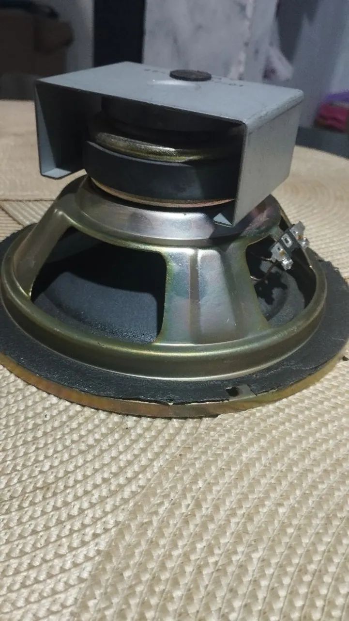 Alto-Falante da Aiwa 8 Polegada 80W RMS R$:70 REAIS