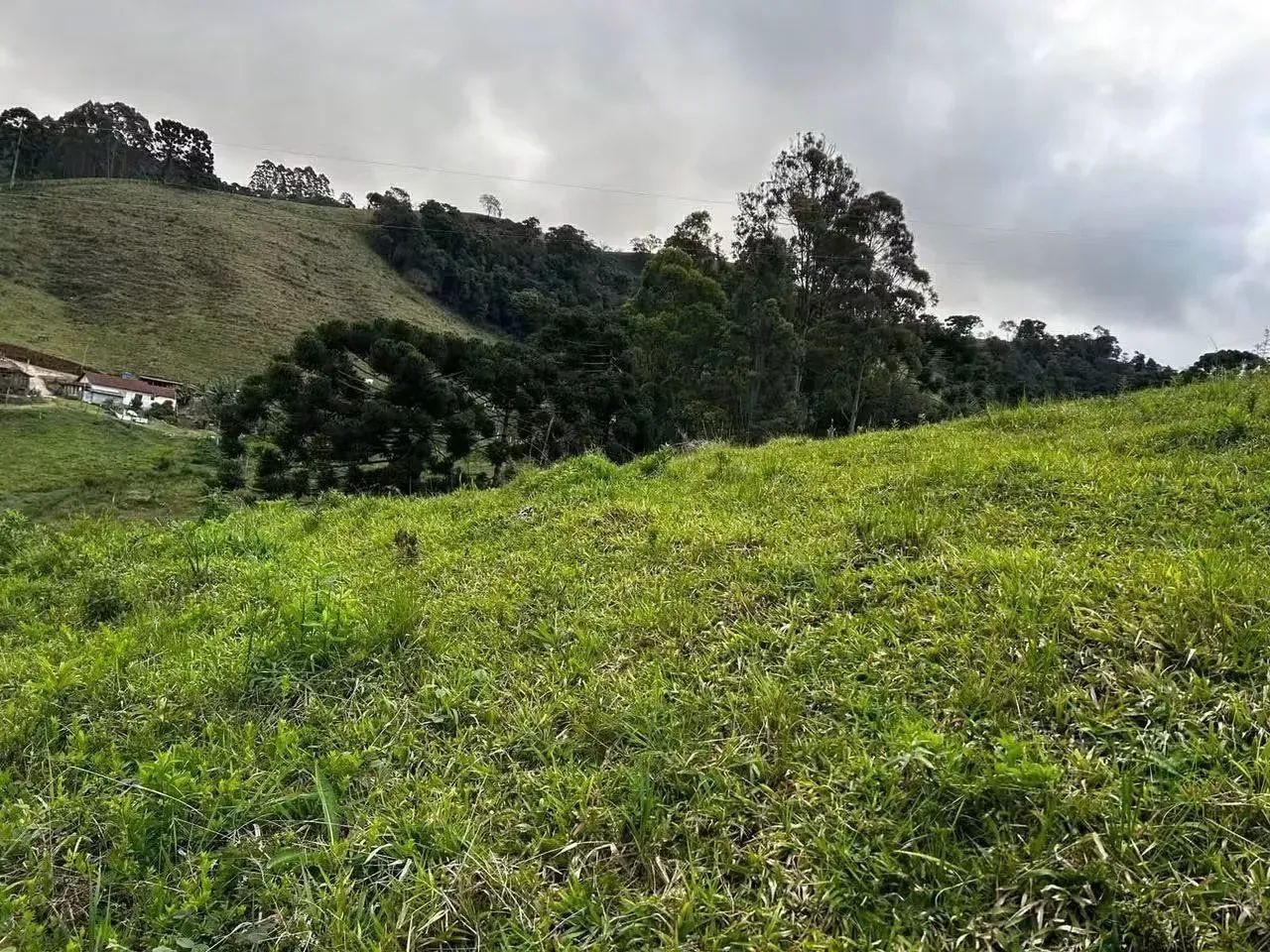 RIACHO DA COLINA - Foto 2