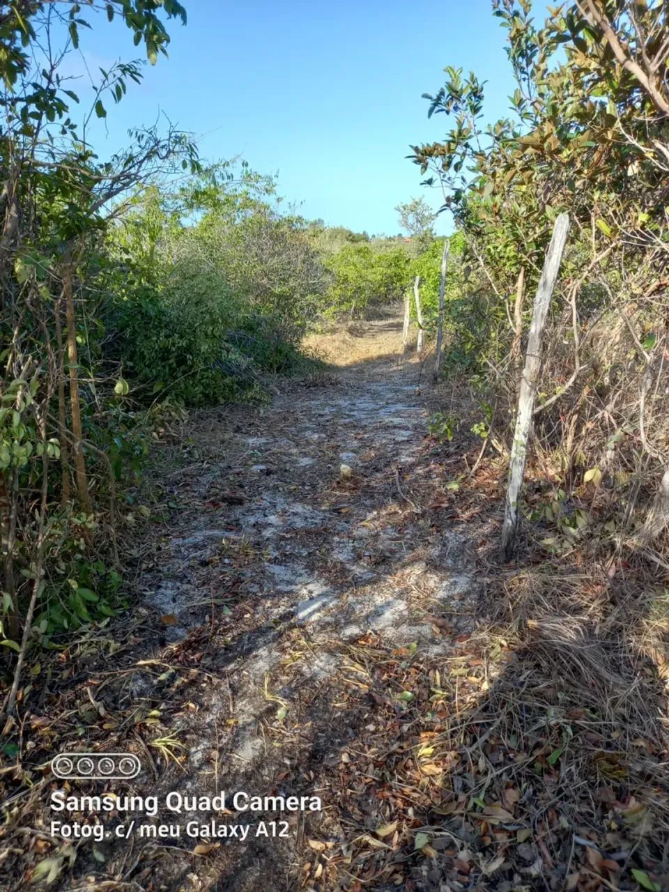 PANAQUATIRA: Terreno a prazo de 52 mil m2 a venda  Ilha de São Luis-MA - Foto 8